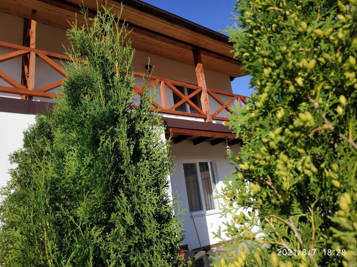 Nestg Guest House Pilipets Extérieur photo