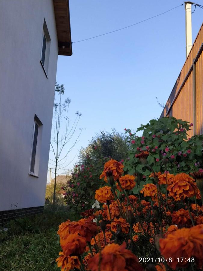 Nestg Guest House Pilipets Extérieur photo