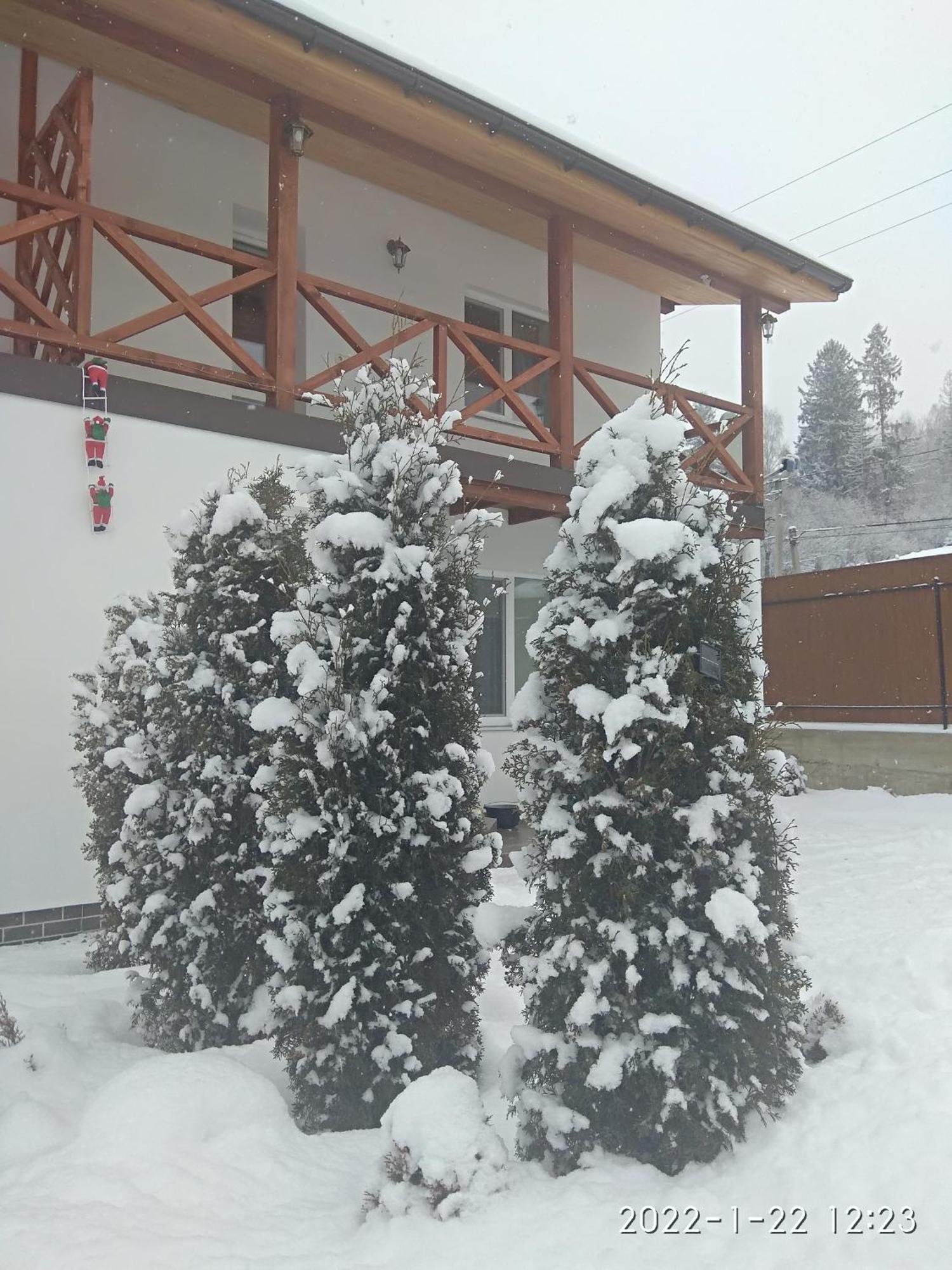 Nestg Guest House Pilipets Extérieur photo